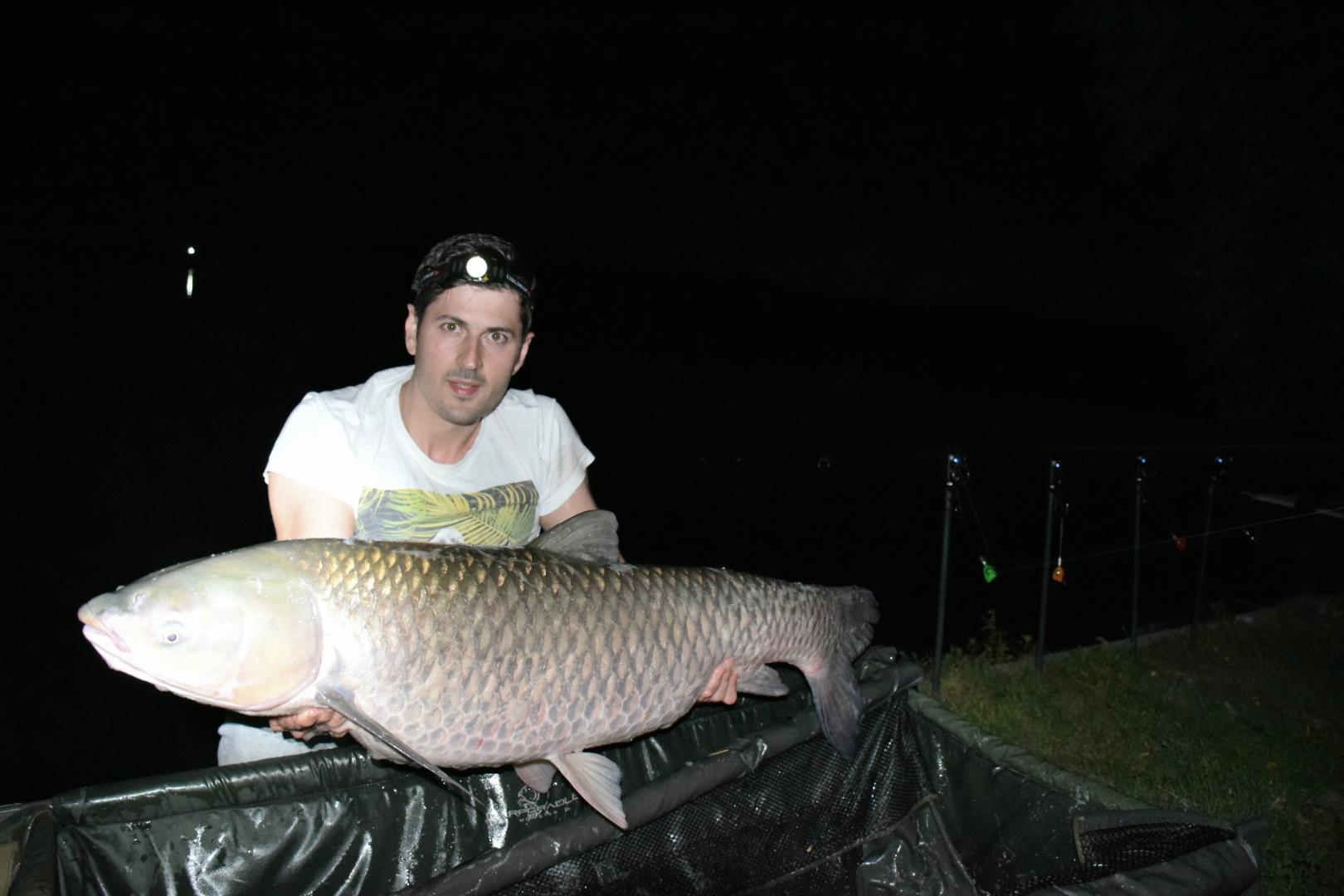 Tancabesti 13 - 15 aug. - 22 kg